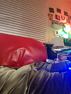 kochanekczek online show from 02/19/26, 05:36