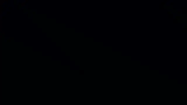 Bonkoleus online show from 03/02/25, 06:08