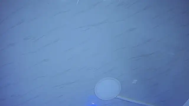 Amareto  online show from 01/31/26, 07:11