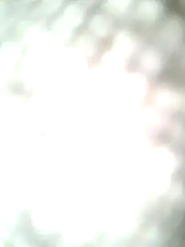 Snapshot of molozeb chatting on 10/12/25, 11:42 molozeb online show from 10/12/25, 11:42