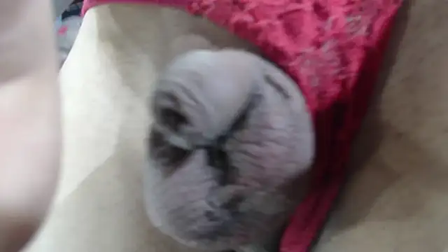 emma onassis 17 online show from 01/01/25, 09:17