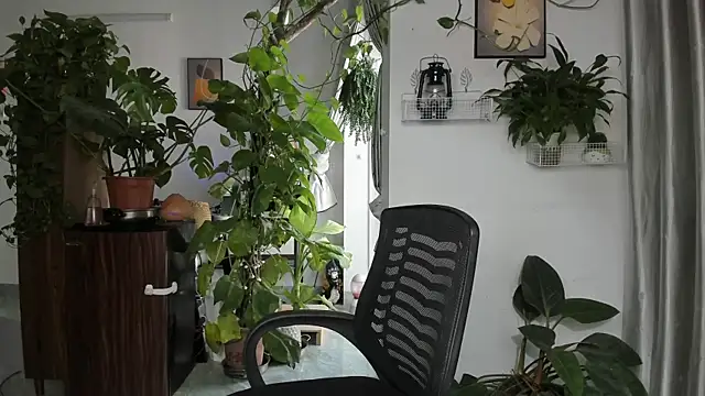 Oliver Nl online show from 11/28/25, 04:48