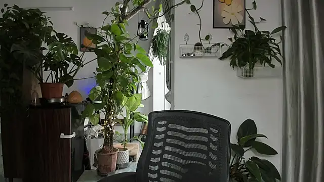 Oliver Nl online show from 12/14/25, 05:02