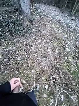 Picknick84 online show from 03/21/25, 05:23