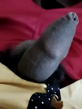 Snapshot of Ashish02345 chatting on 12/06/24, 06:50 Ashish02345 online show from 12/06/24, 06:50