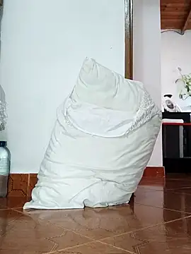 Juanroom online show from 04/20/26, 09:05