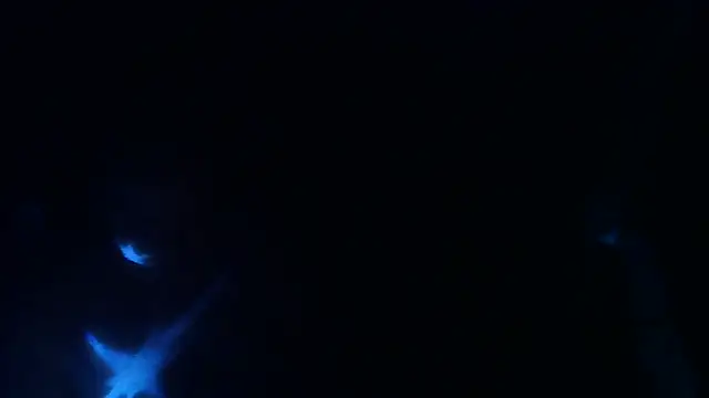 Snapshot of perversalus chatting on 05/09/26, 01:22 perversalus online show from 05/09/26, 01:22