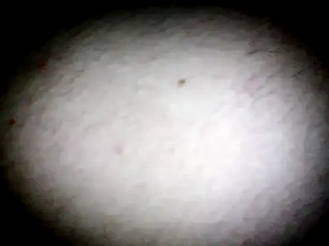 anald66666 online show from 01/13/25, 07:43