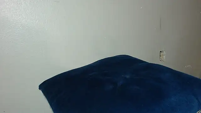 Dogz n daugthers online show from 12/20/24, 05:14