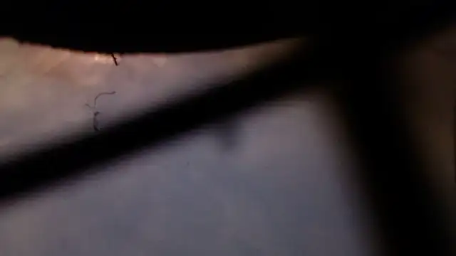 Cordt30 online show from 02/12/26, 04:46