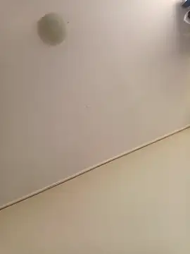 zafka 9 online show from 04/08/26, 04:07