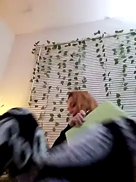 Snapshot of Dixiefaye_Pika chatting on 02/18/25, 03:53 Dixiefaye Pika online show from 02/18/25, 03:53