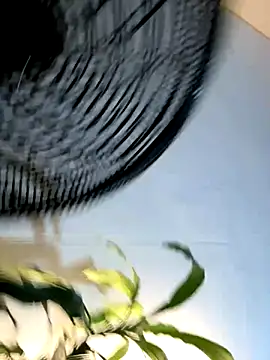  Miguel100 online show from 11/06/25, 02:56