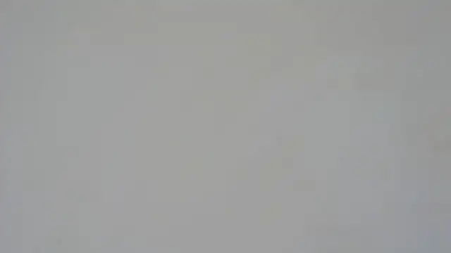 Snapshot of GiseleReine chatting on 02/05/25, 01:33 GiseleReine online show from 02/05/25, 01:33