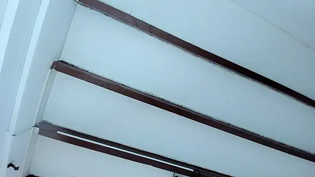 Oriana Guzman online show from 01/19/25, 11:01