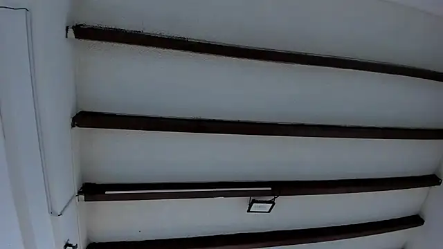 Oriana Guzman online show from 01/30/25, 12:06