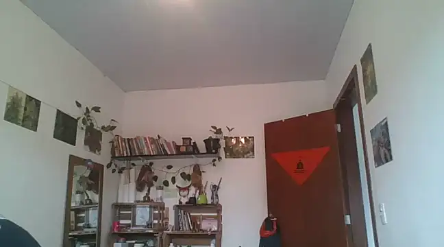 SweetyBabyDemon online show from 12/09/24, 01:24