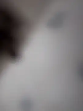 Snapshot of Kylie2211 chatting on 11/28/25, 01:47 Kylie2211 online show from 11/28/25, 01:47