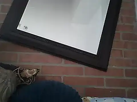 Skater29xx2 online show from 03/15/25, 08:10