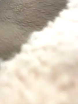 Snapshot of NewLale chatting on 10/12/25, 03:38 NewLale online show from 10/12/25, 03:38