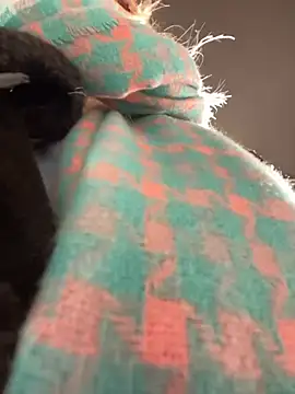 Snapshot of MerlinDave chatting on 01/06/25, 01:42 MerlinDave online show from 01/06/25, 01:42