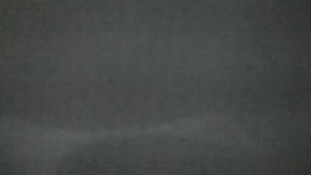 canela wet online show from 02/14/25, 12:25