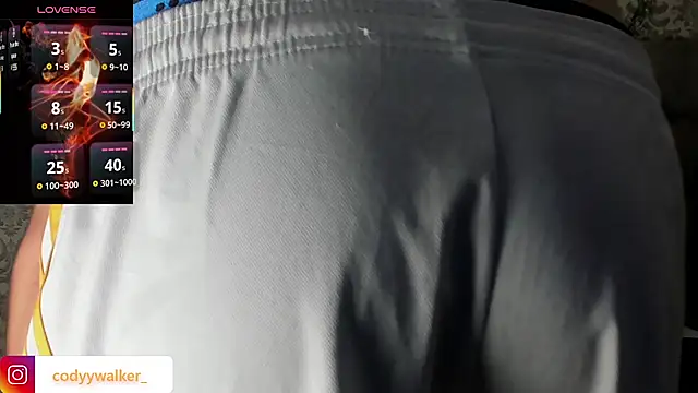 Snapshot of CodyWalkerR chatting on 01/14/26, 05:29 CodyWalkerR online show from 01/14/26, 05:29