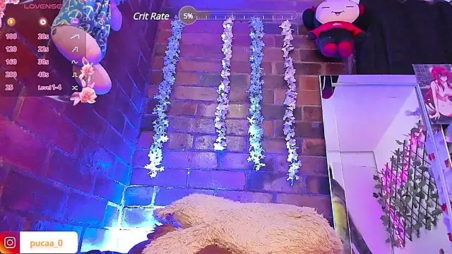 Pucaa  online show from 01/31/25, 04:03