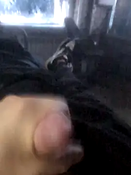 Boysex227 online show from 03/19/26, 04:27