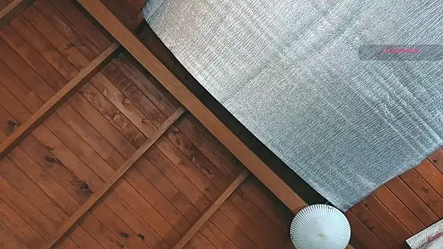 SilvaBranko online show from 03/27/26, 09:03