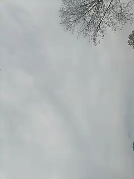 Nkumar173 online show from 02/13/25, 05:26