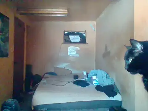 Nightshade7712 online show from 02/04/25, 05:55