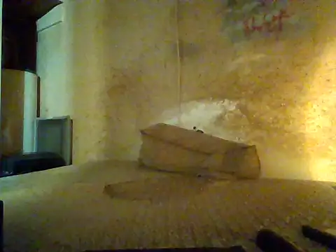 Nightshade7712 online show from 09/13/25, 07:57