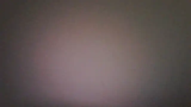 Vekie 007 online show from 07/04/26, 05:46