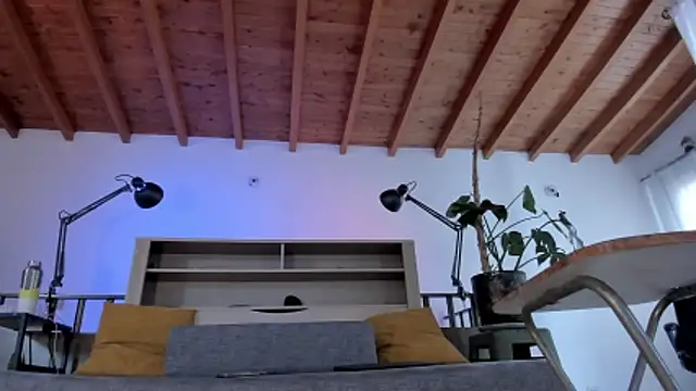 bruno woods online show from 03/07/26, 02:47