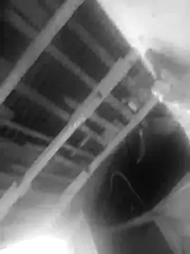 Snapshot of Jerryhottt chatting on 11/20/25, 03:18 Jerryhottt online show from 11/20/25, 03:18