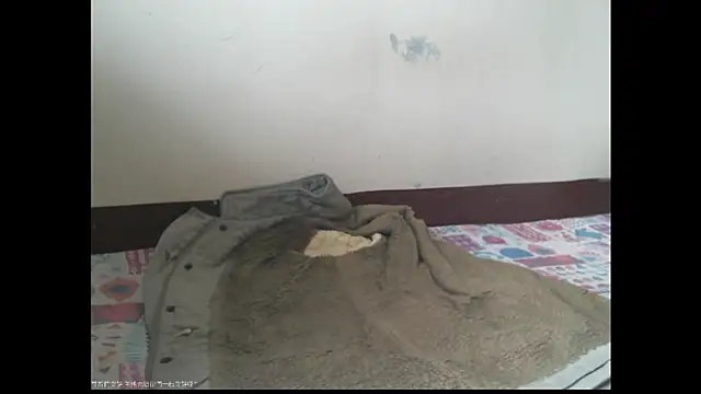 Snapshot of triangle0623 chatting on 12/20/25, 05:47 triangle0623 online show from 12/20/25, 05:47