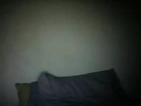 Snapshot of NCRCP7 chatting on 12/20/25, 09:00 NCRCP7 online show from 12/20/25, 09:00