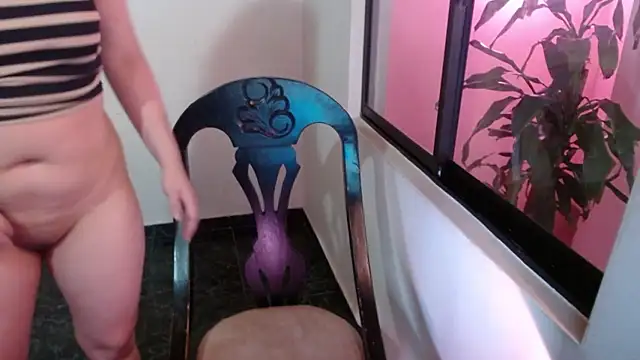 mailer parsonss online show from 01/07/26, 03:14