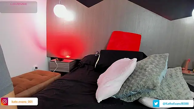 kate evans1 online show from 11/27/25, 05:09