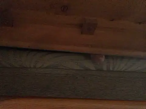 Dicksexhandjob online show from 02/21/25, 01:33