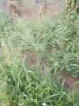 Snapshot of hotpussy-11 chatting on 12/11/24, 03:35 hotpussy-11 online show from 12/11/24, 03:35