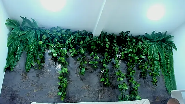 alice greco online show from 11/24/25, 05:01