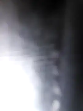 Snapshot of studboy1111 chatting on 12/31/24, 06:46 studboy1111 online show from 12/31/24, 06:46