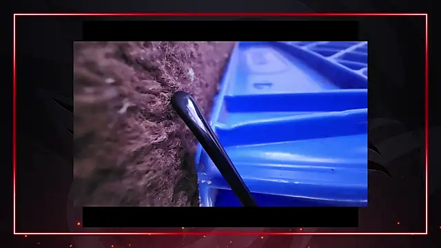 AriellaTaylor online show from 12/11/24, 04:42