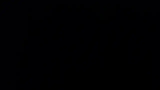 zacwatson  online show from 01/24/25, 06:03