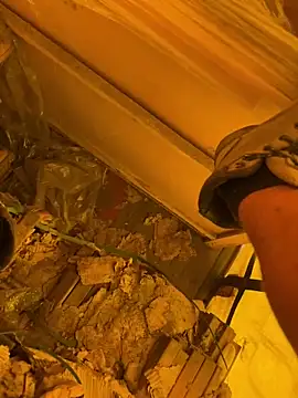 cussy007 online show from 04/13/26, 10:10