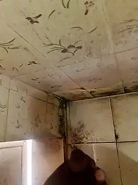 Snapshot of indiasexmf chatting on 10/11/25, 04:33 indiasexmf online show from 10/11/25, 04:33