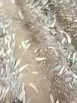 Snapshot of indiasexmf chatting on 12/16/25, 09:58 indiasexmf online show from 12/16/25, 09:58