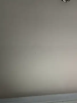 El Gizmo online show from 01/08/25, 07:24